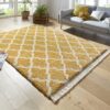 Micro Polyester Carvan Design Shaggy Carpet